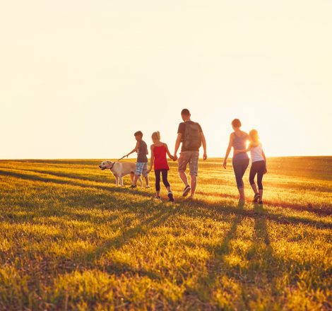 Summertime in the countryside. Silhouettes of the family with dog on the trip at the sunset.